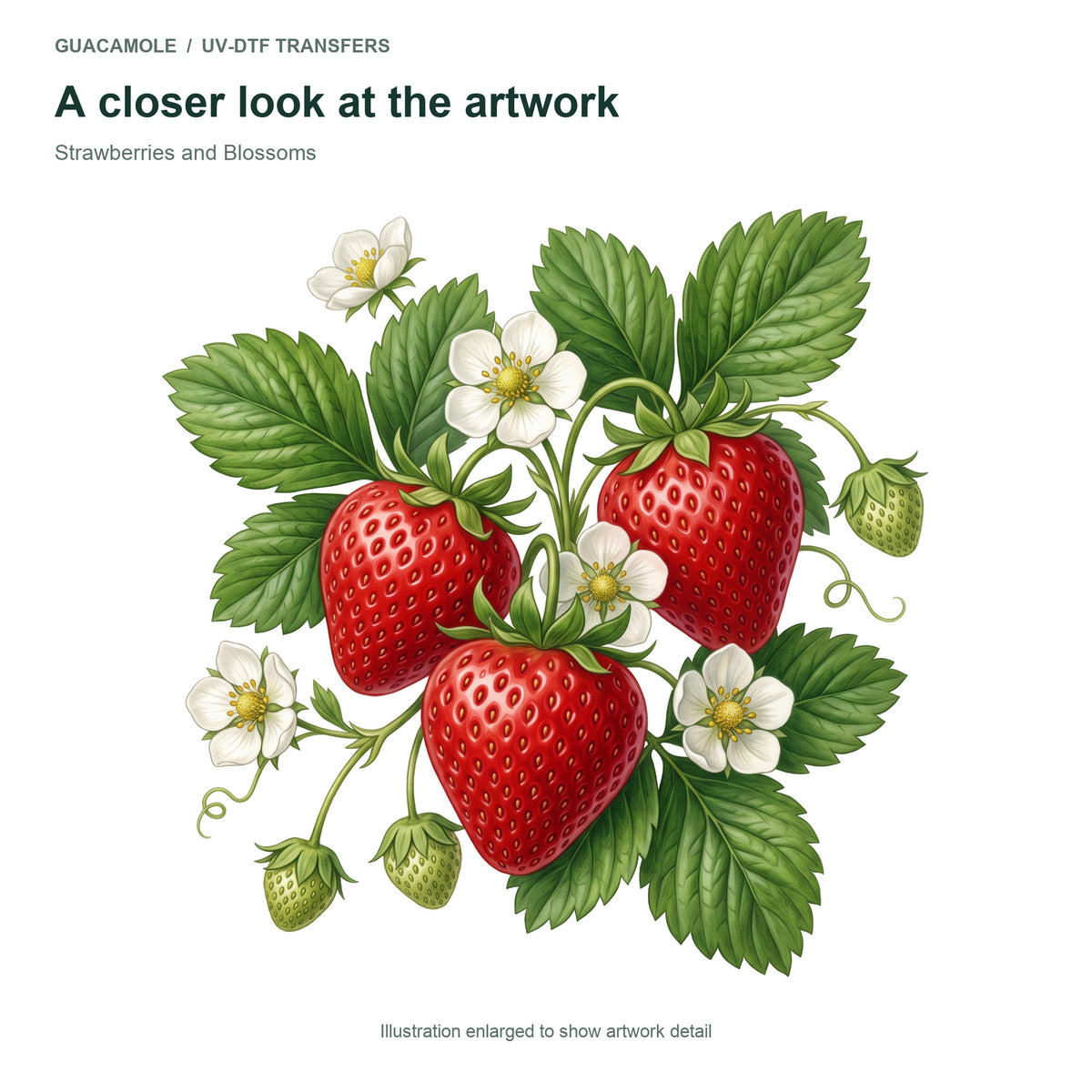 Strawberries and Blossoms — Artwork detail