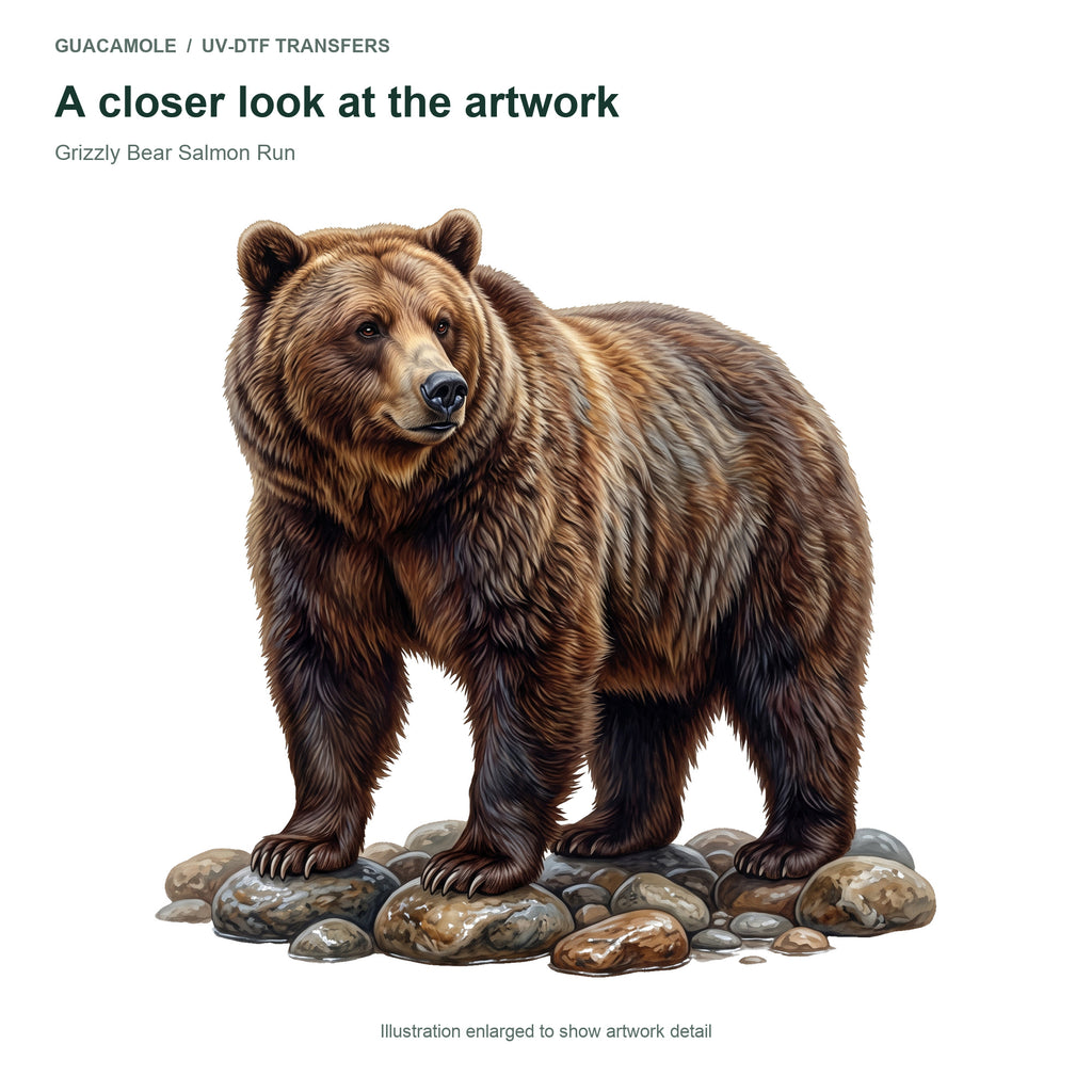 Grizzly Bear Salmon Run — Artwork detail