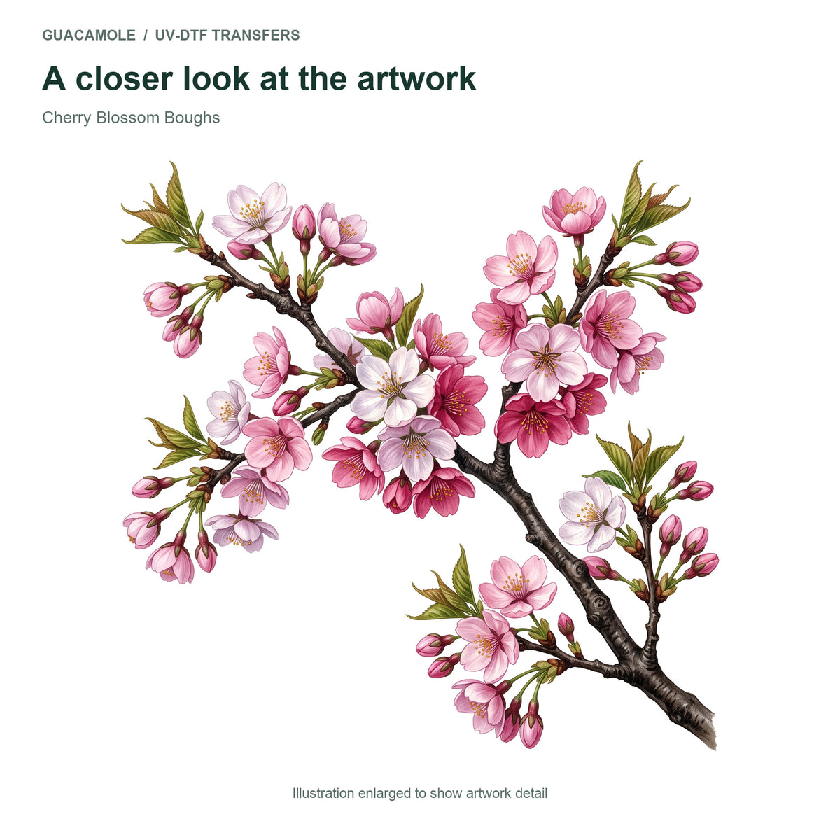 Cherry Blossom Boughs — Artwork detail