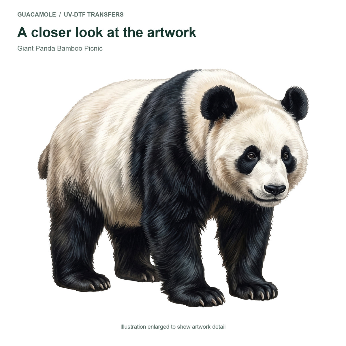 Giant Panda Bamboo Picnic — Artwork detail