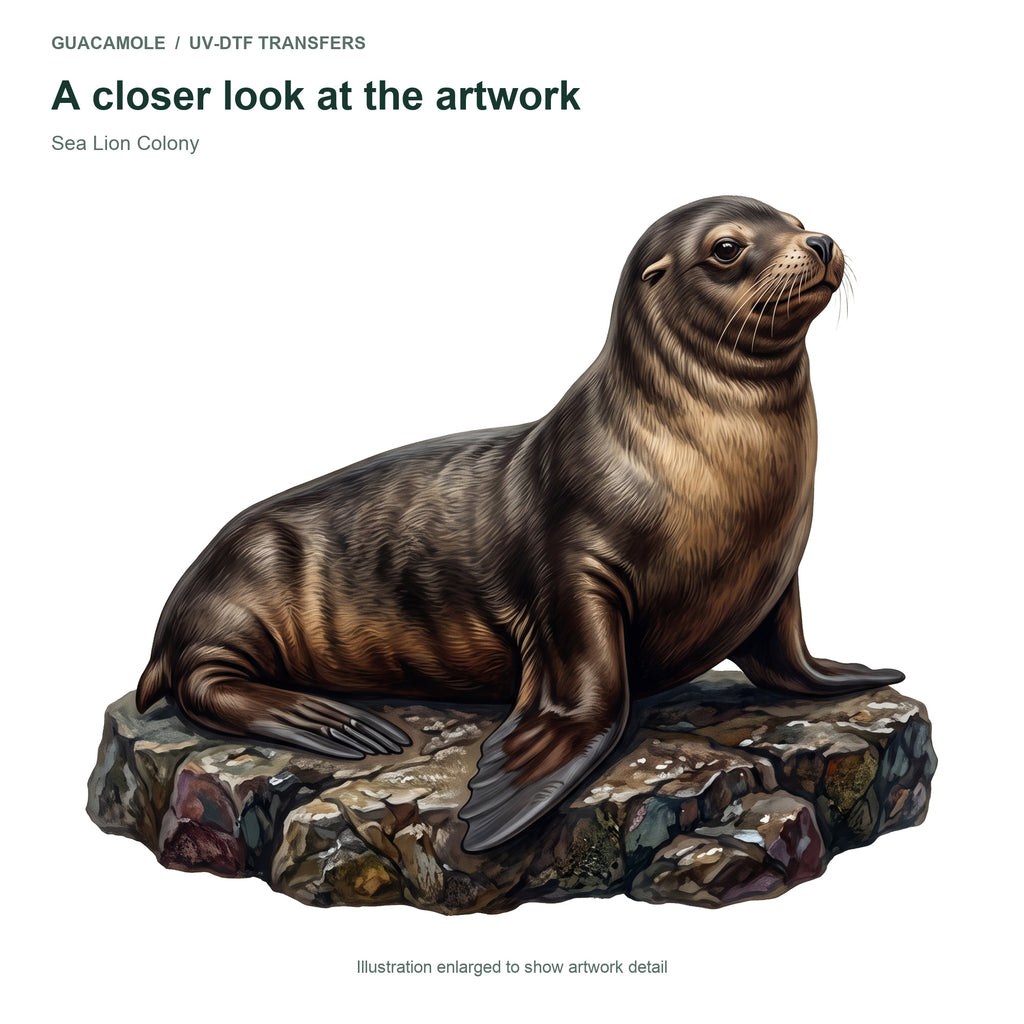 Sea Lion Colony — Artwork detail