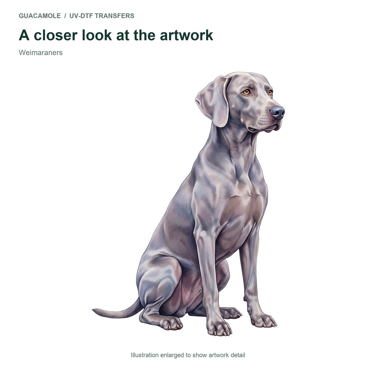 Weimaraners — Artwork detail
