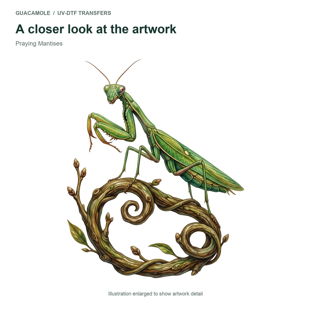 Praying Mantises — Artwork detail