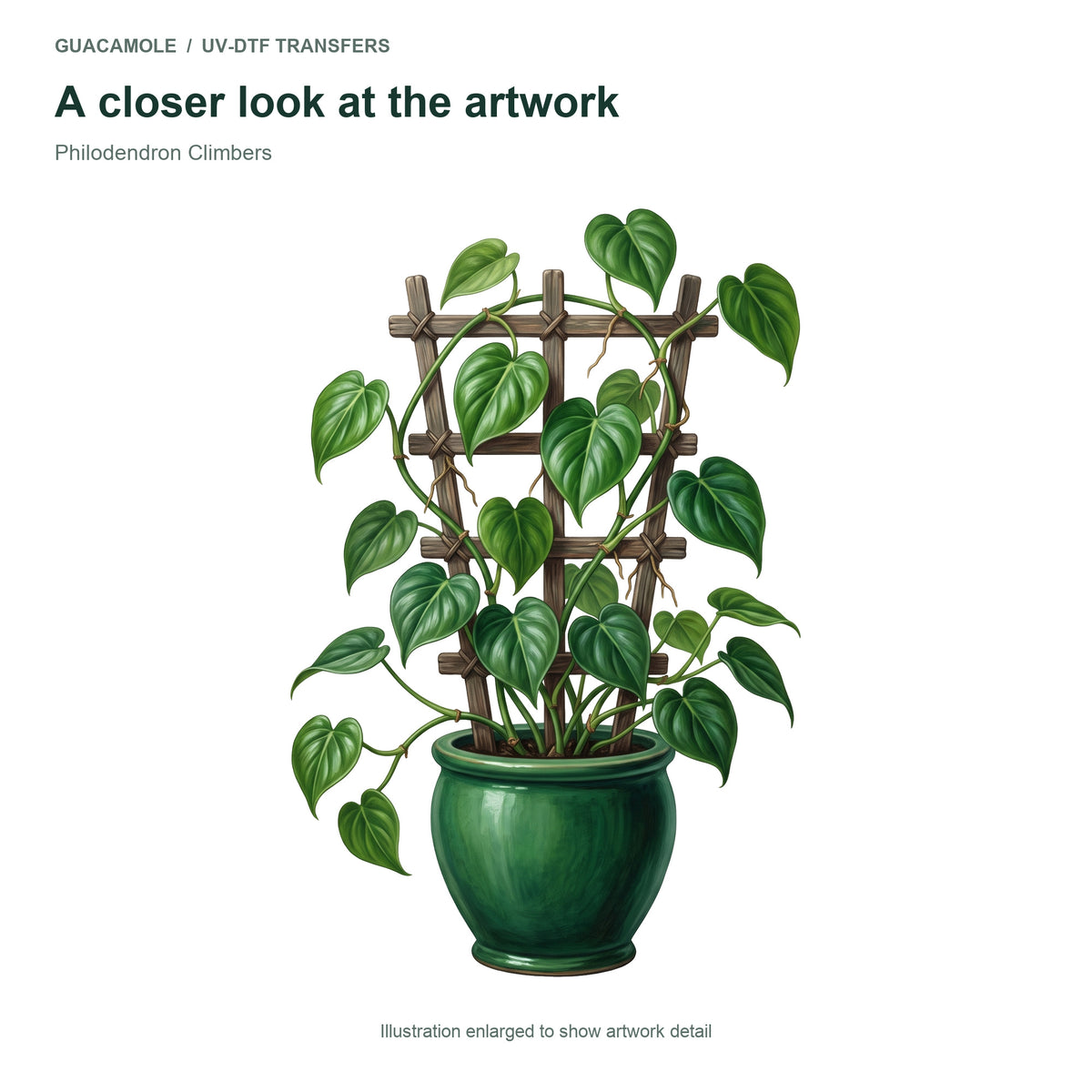 Philodendron Climbers — Artwork detail