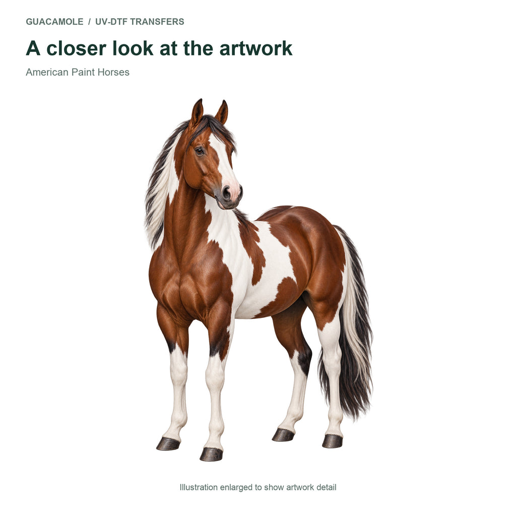 American Paint Horses — Artwork detail