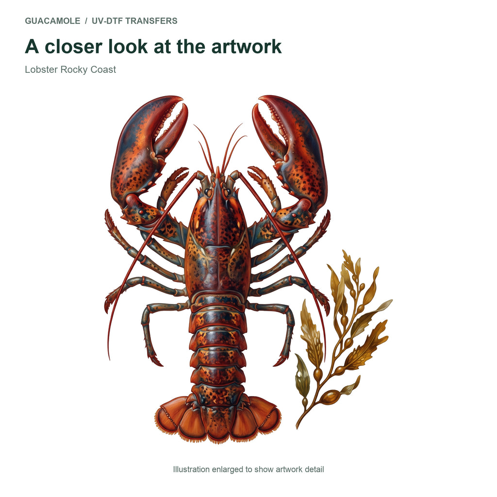 Lobster Rocky Coast — Artwork detail