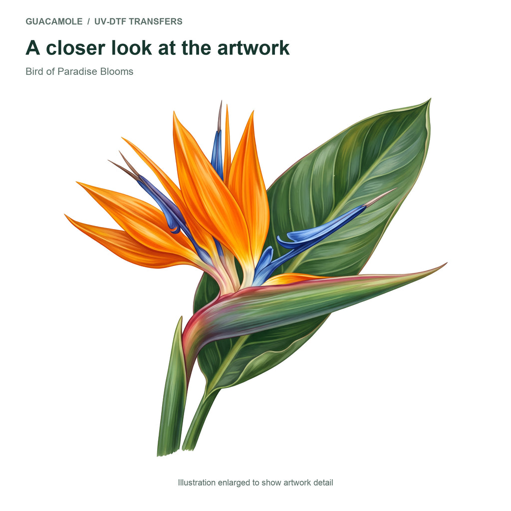 Bird of Paradise Blooms — Artwork detail