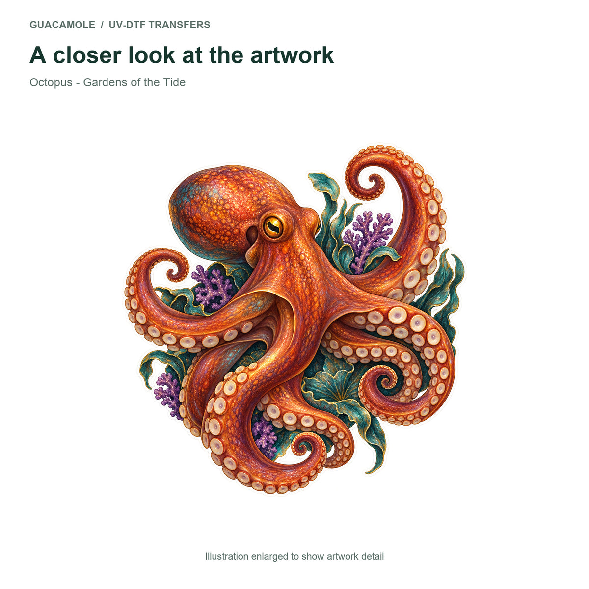 Octopus - Gardens of the Tide — Artwork detail