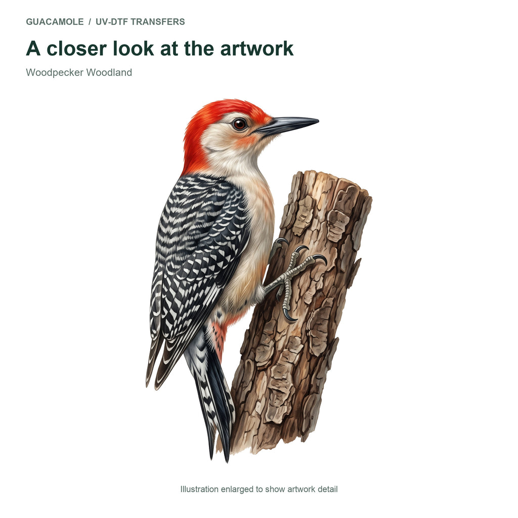 Woodpecker Woodland — Artwork detail
