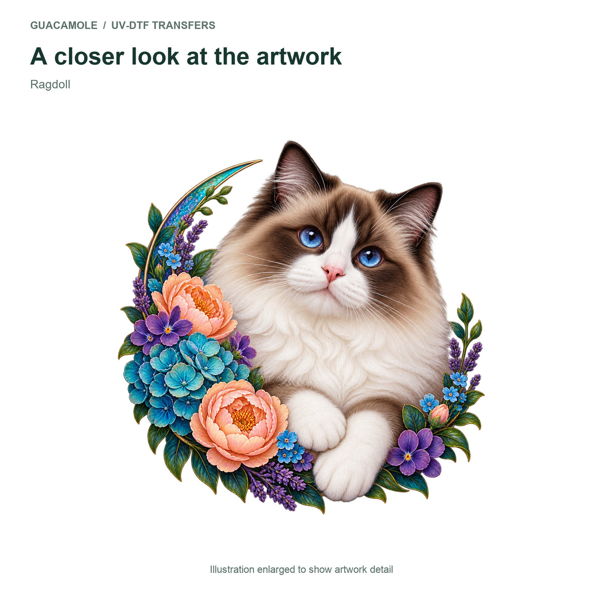 Ragdoll — Artwork detail