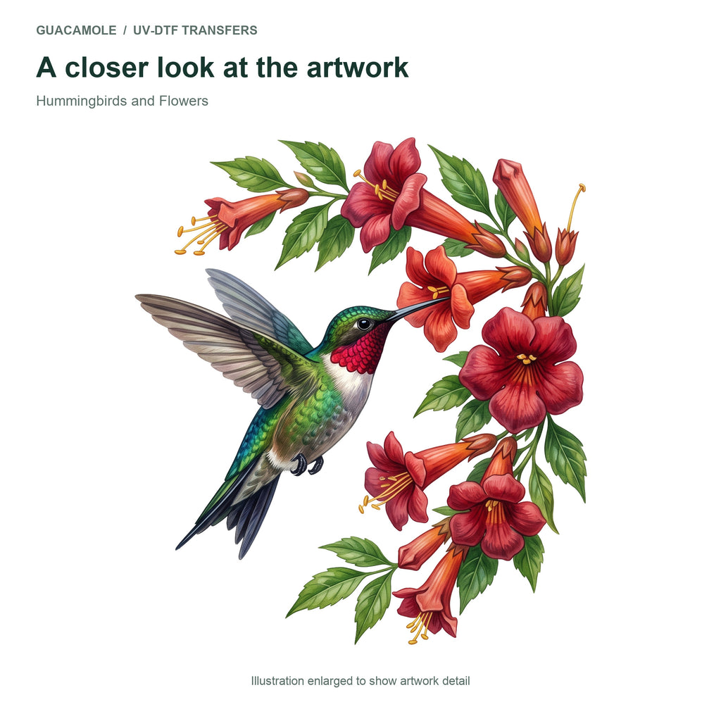 Hummingbirds and Flowers — Artwork detail
