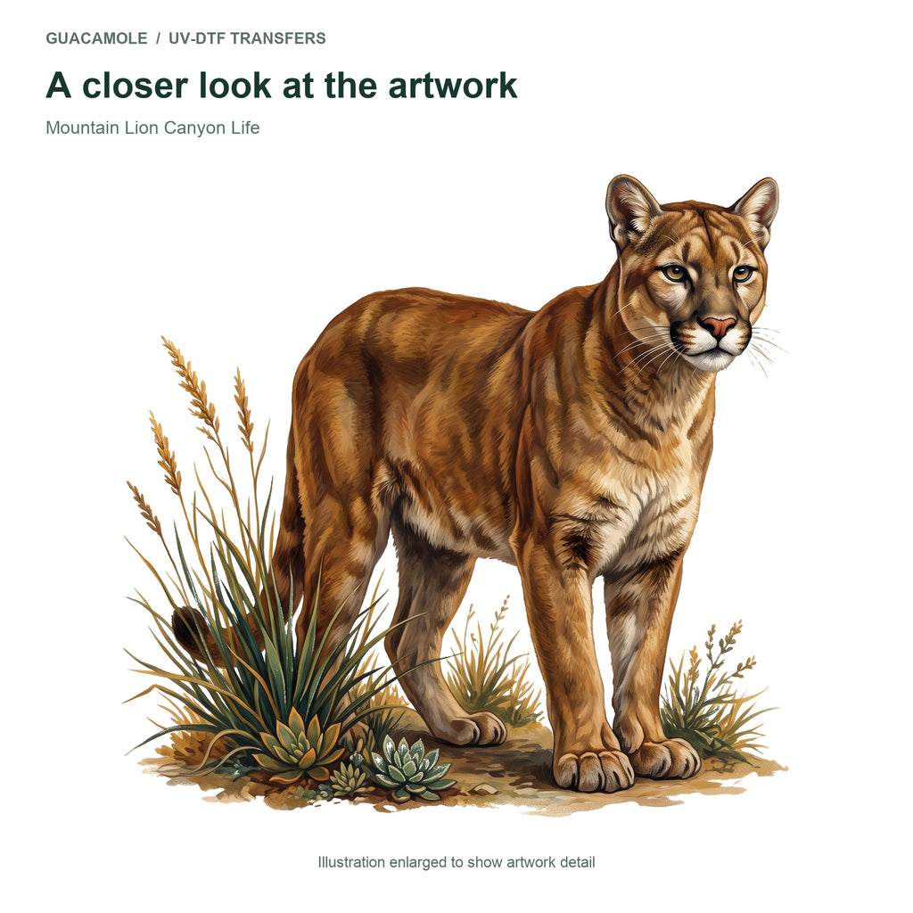Mountain Lion Canyon Life — Artwork detail