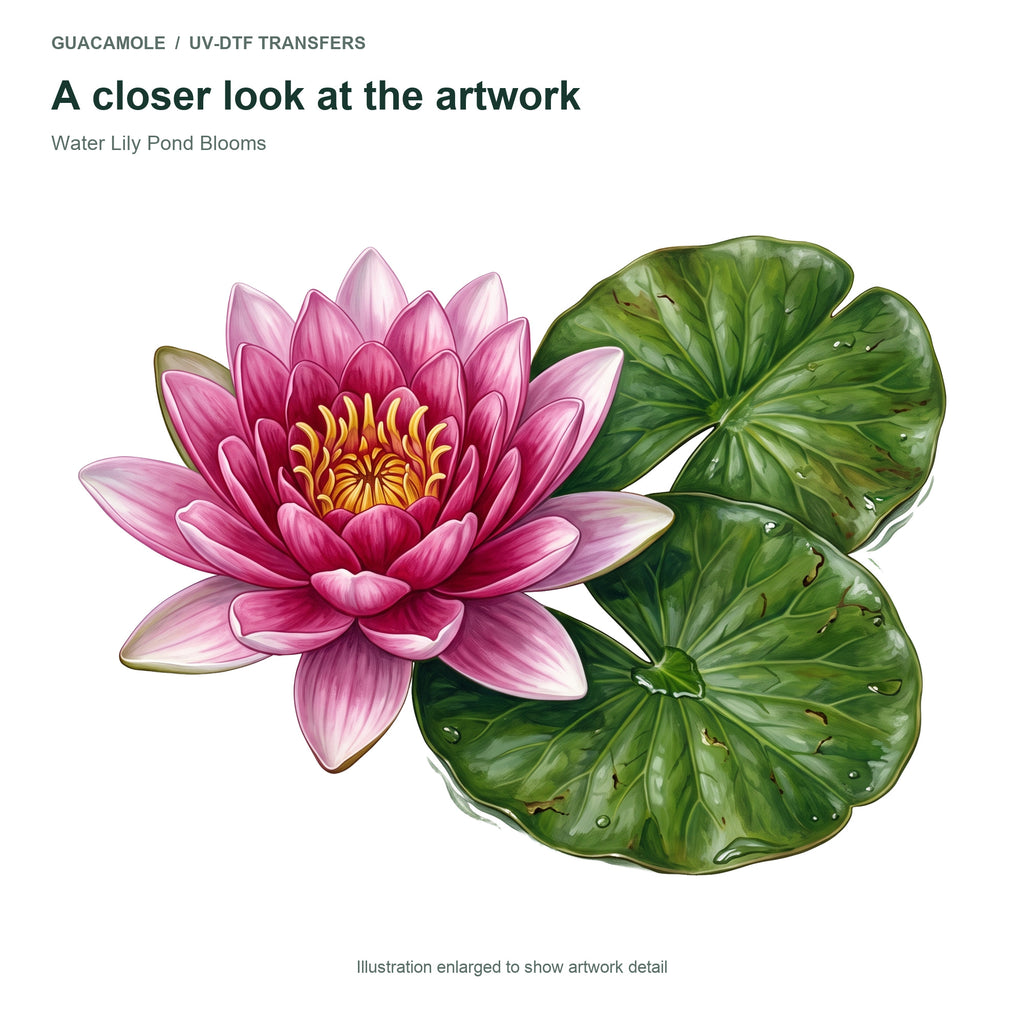 Water Lily Pond Blooms — Artwork detail