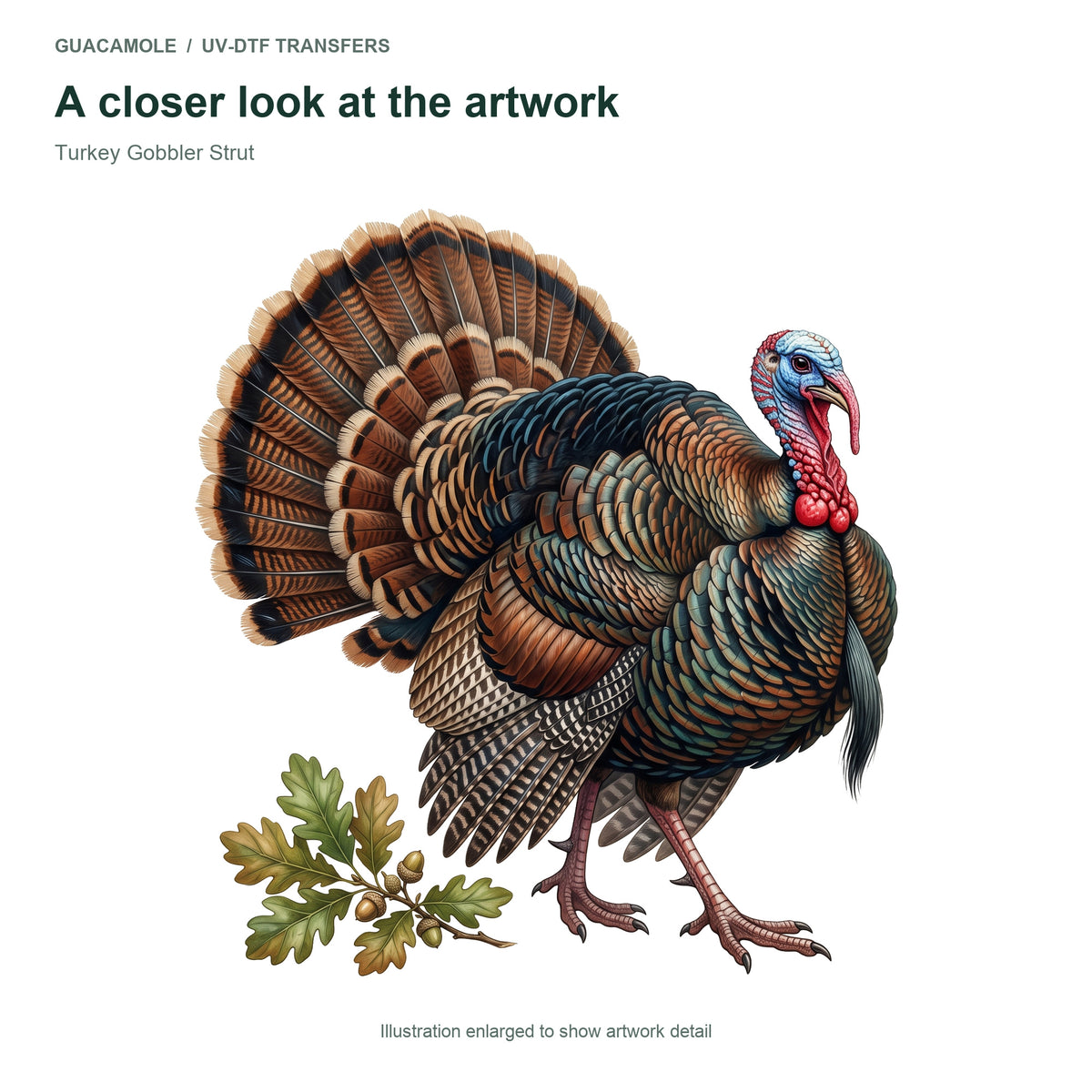 Turkey Gobbler Strut — Artwork detail