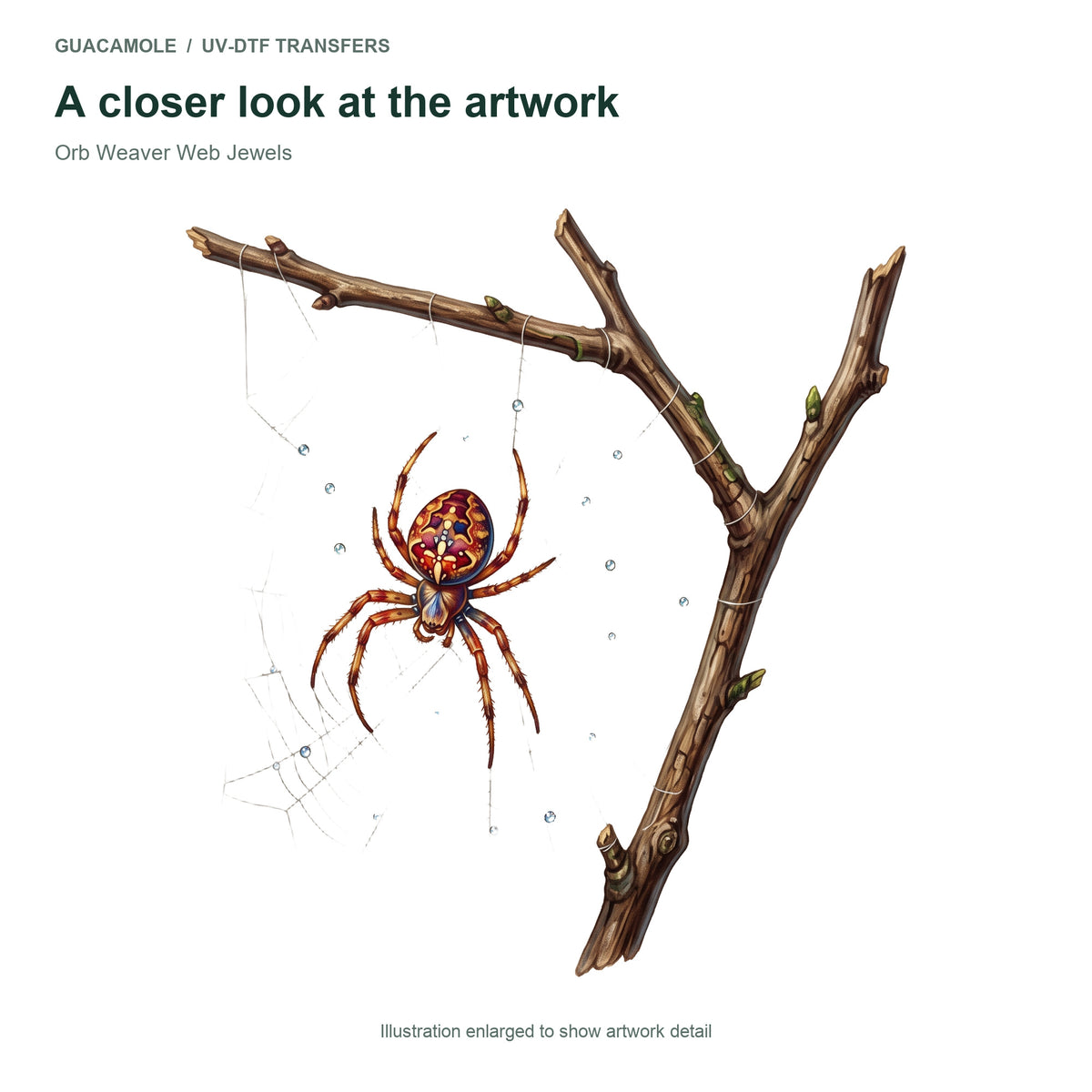 Orb Weaver Web Jewels — Artwork detail