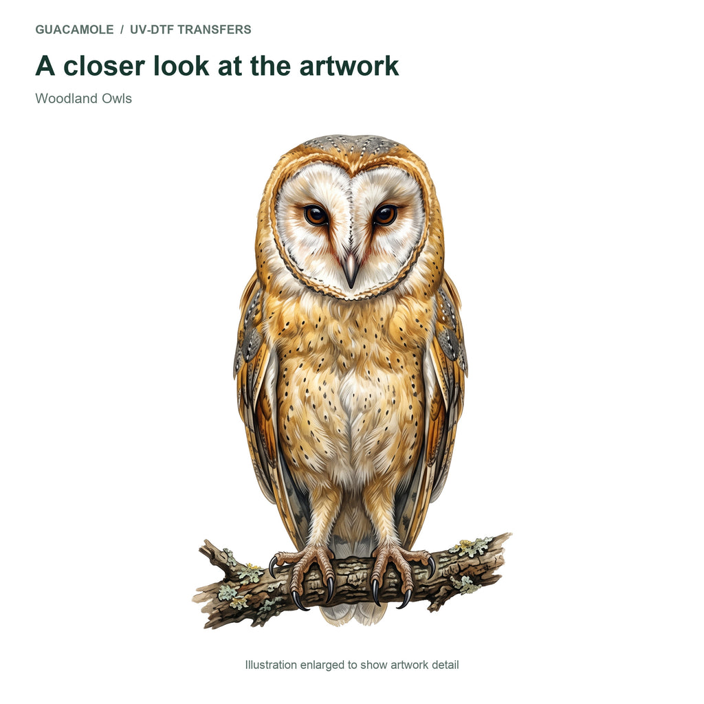 Woodland Owls — Artwork detail