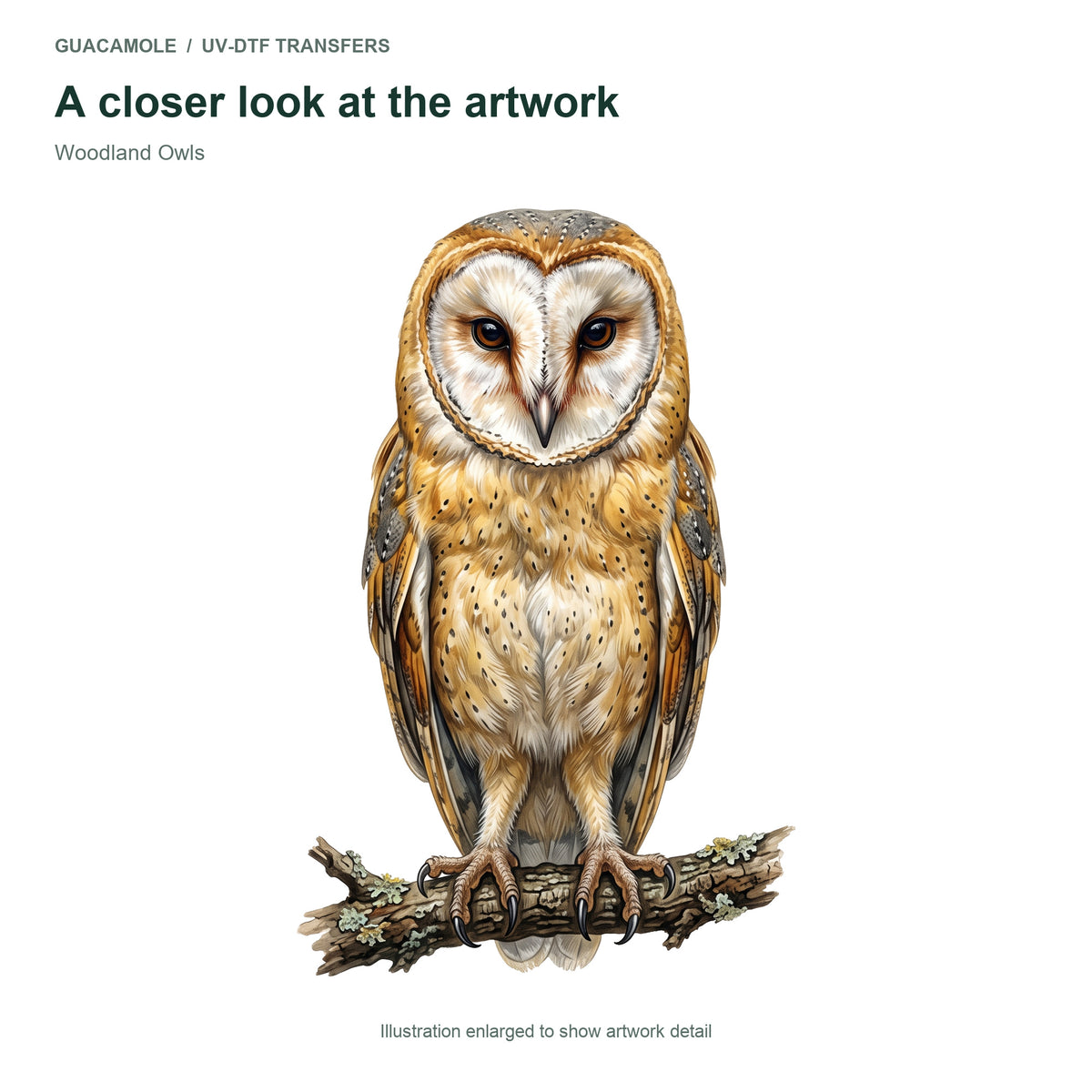 Woodland Owls — Artwork detail