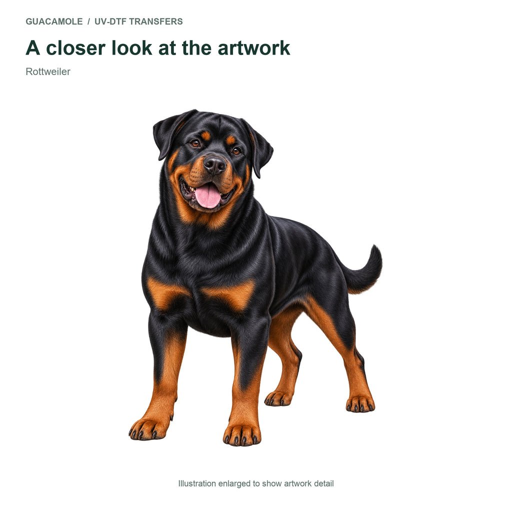 Rottweiler — Artwork detail