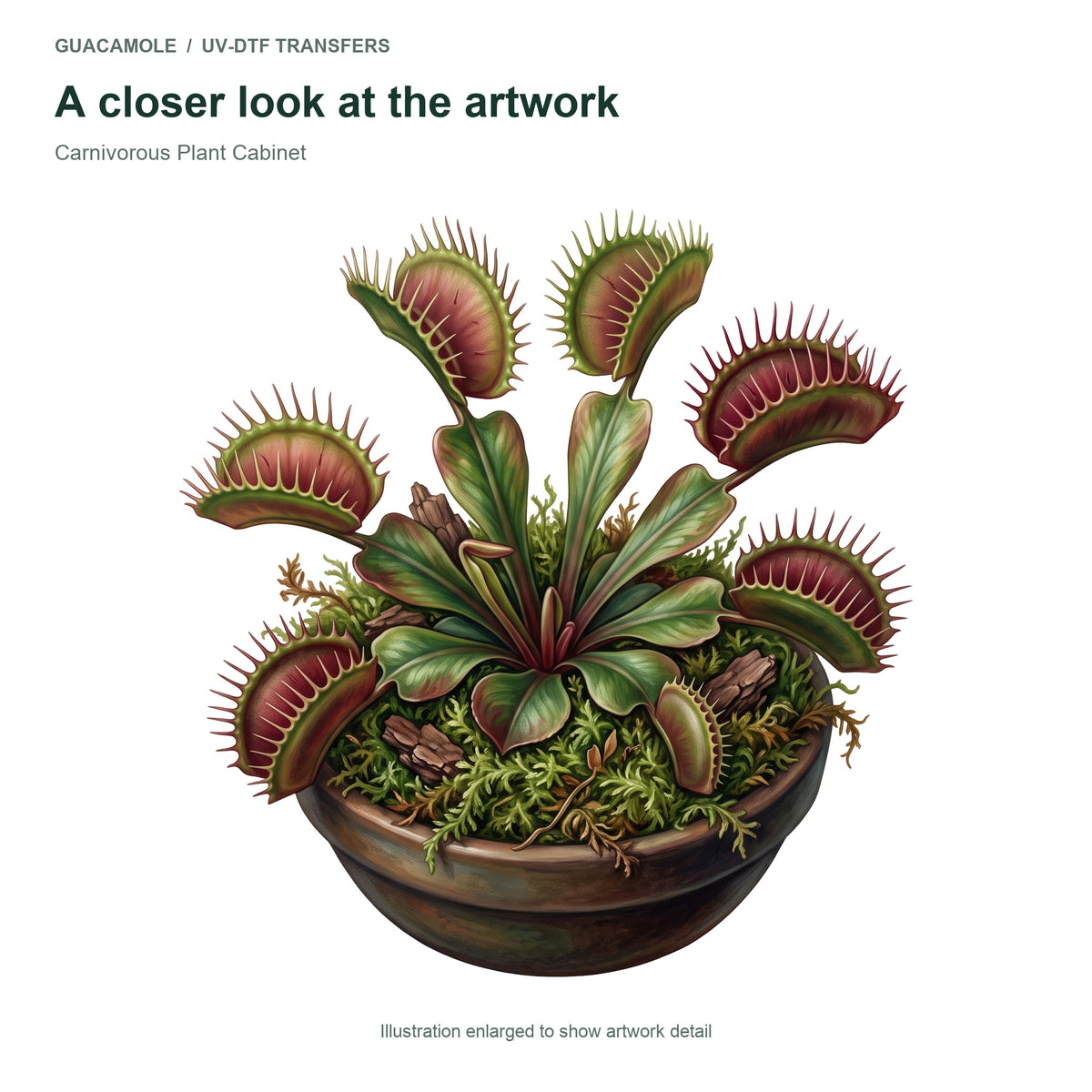Carnivorous Plant Cabinet — Artwork detail
