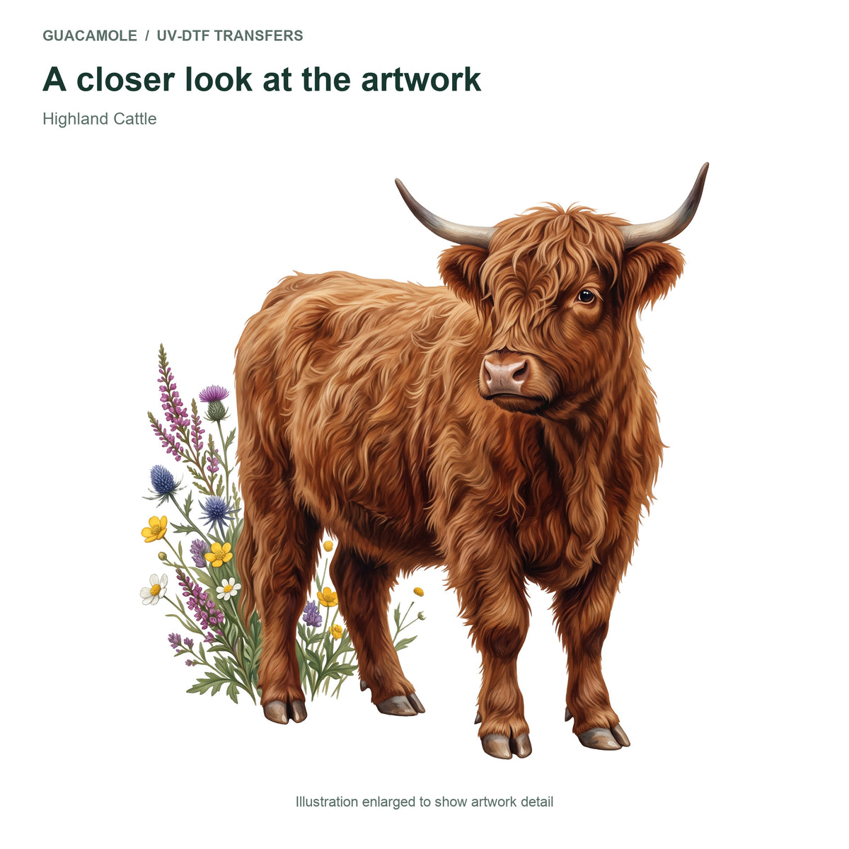 Highland Cattle — Artwork detail