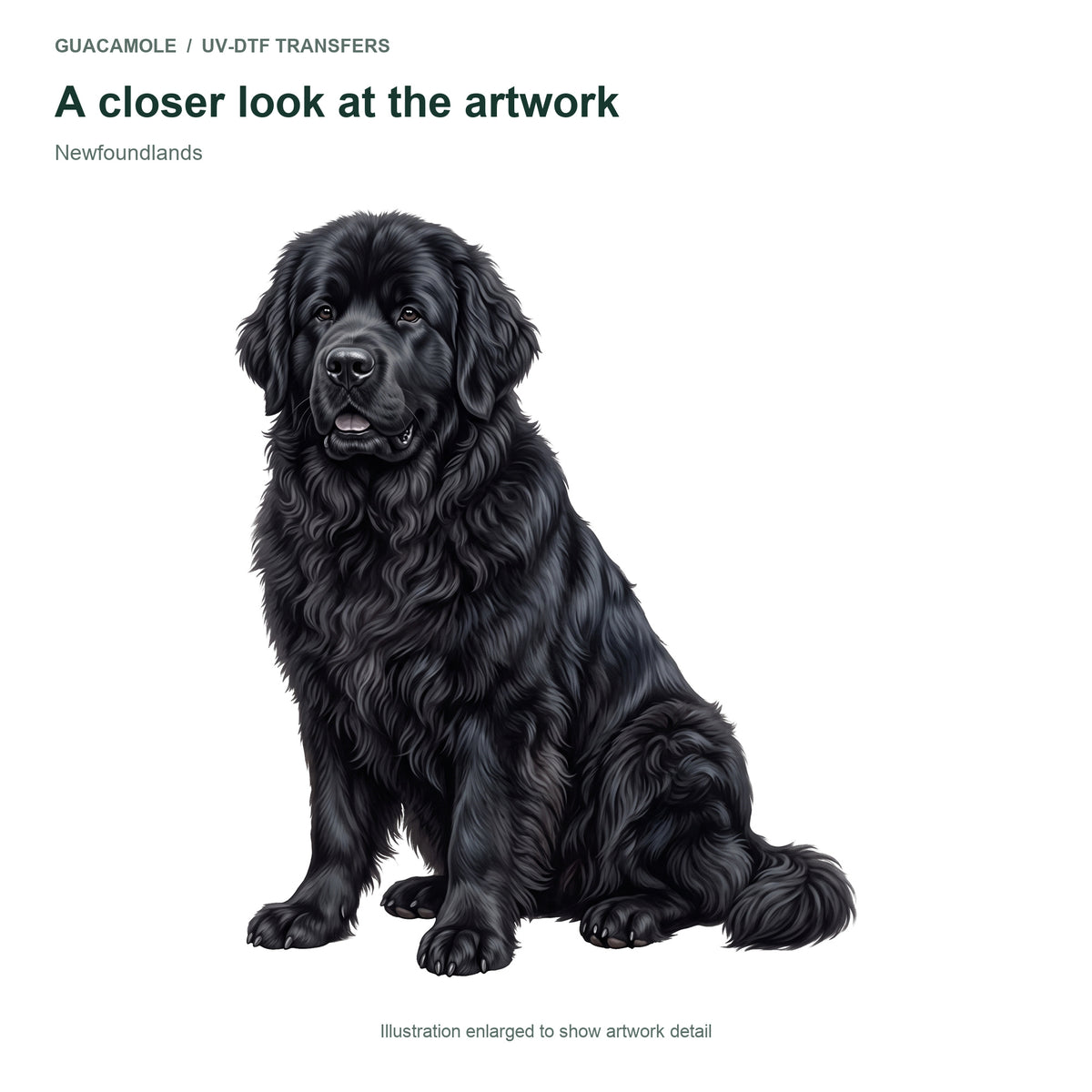 Newfoundlands — Artwork detail