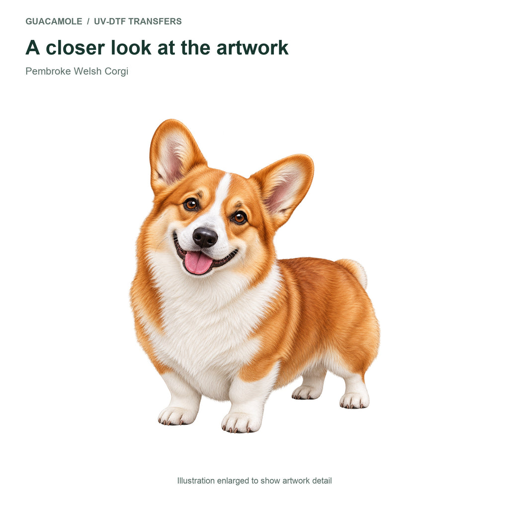 Pembroke Welsh Corgi — Artwork detail