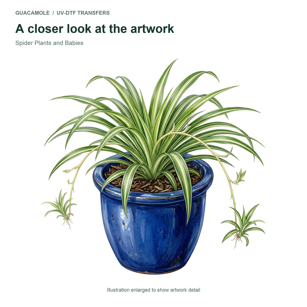 Spider Plants and Babies — Artwork detail