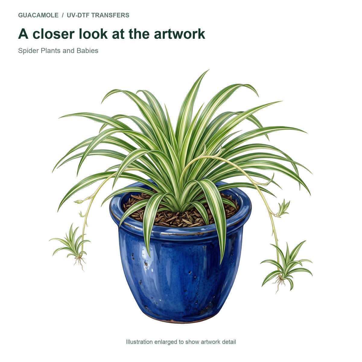 Spider Plants and Babies — Artwork detail