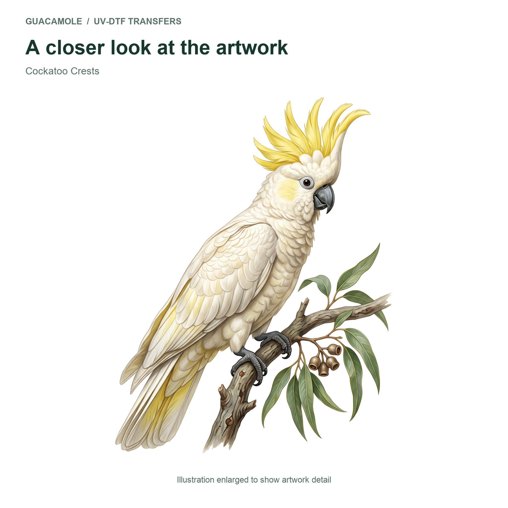 Cockatoo Crests — Artwork detail