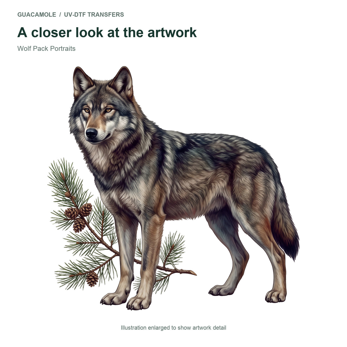 Wolf Pack Portraits — Artwork detail