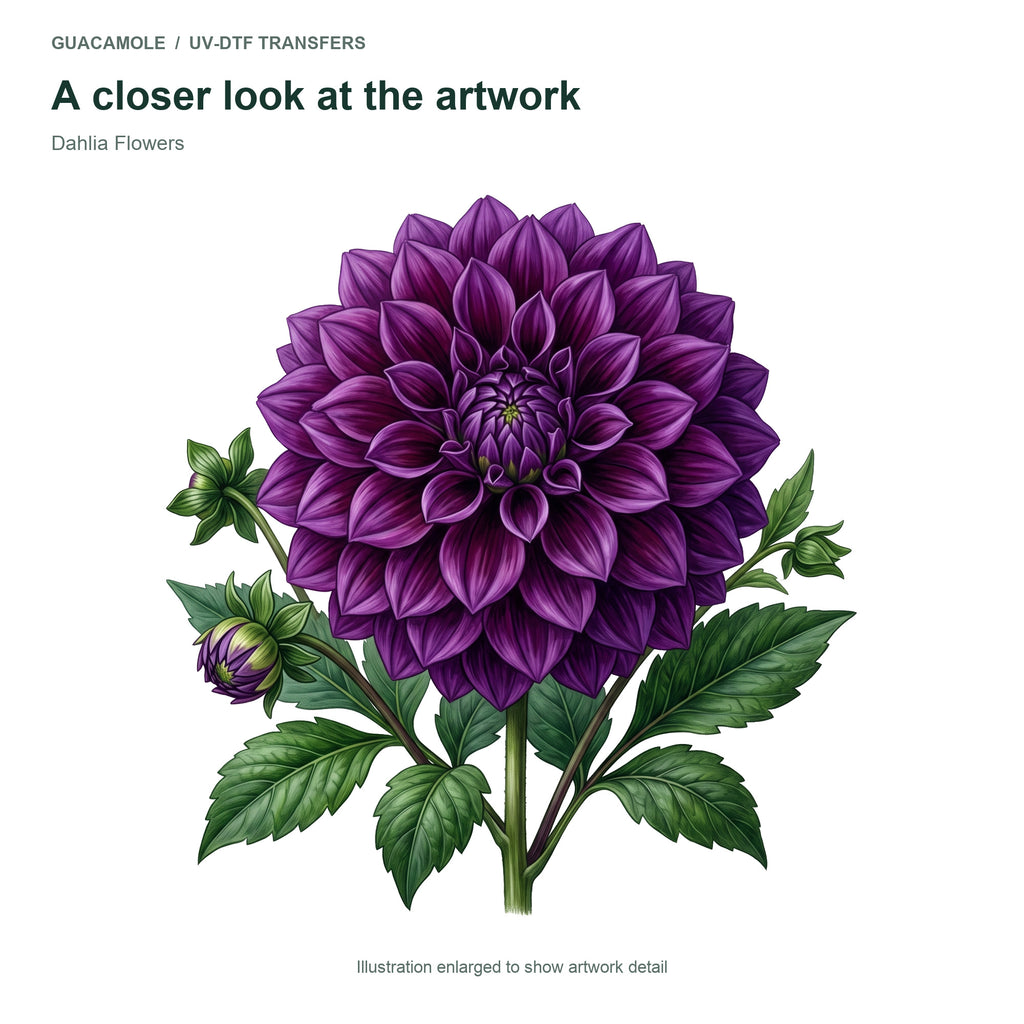 Dahlia Flowers — Artwork detail