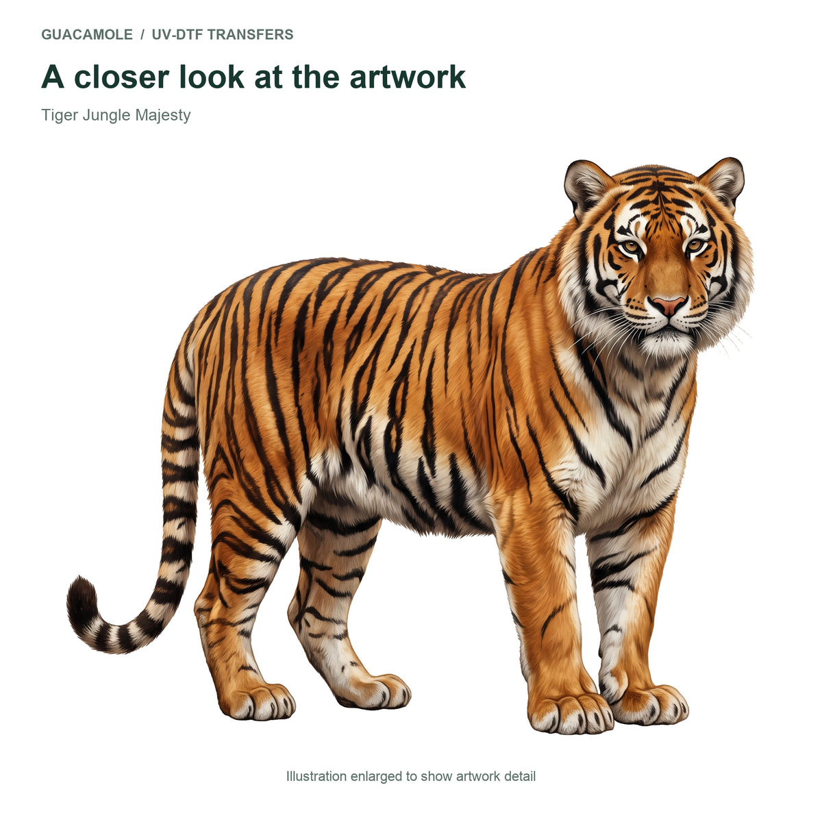 Tiger Jungle Majesty — Artwork detail