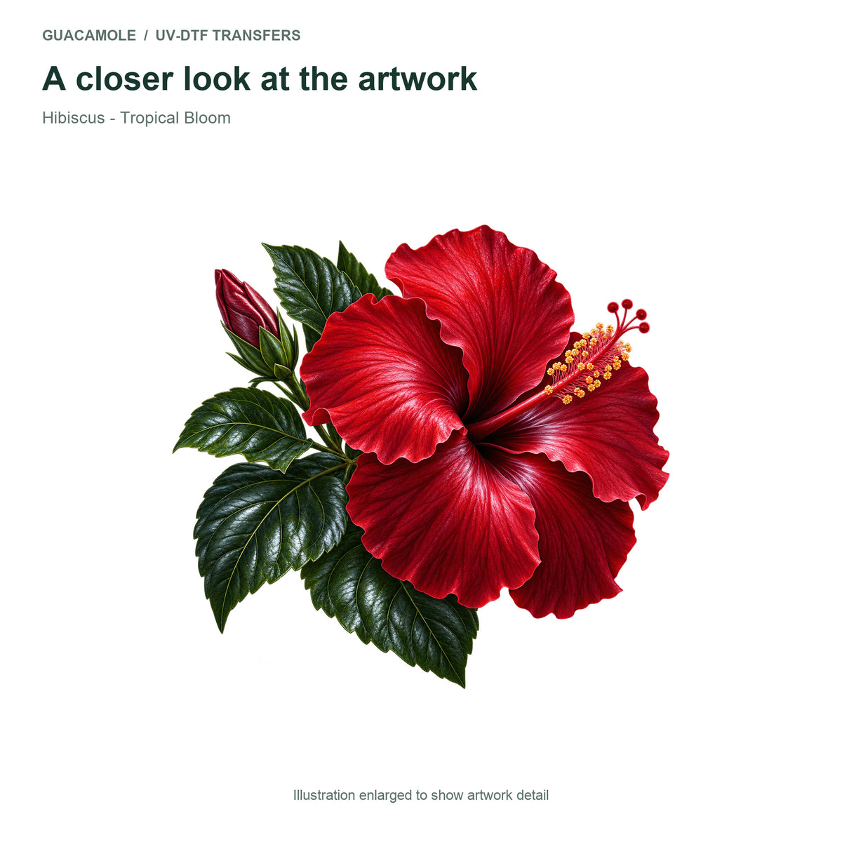 Hibiscus - Tropical Bloom — Artwork detail