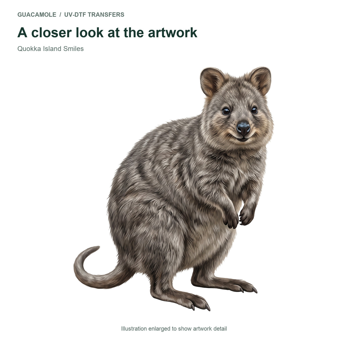 Quokka Island Smiles — Artwork detail
