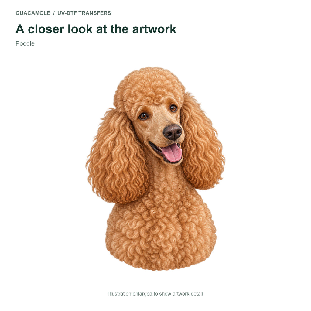 Poodle — Artwork detail