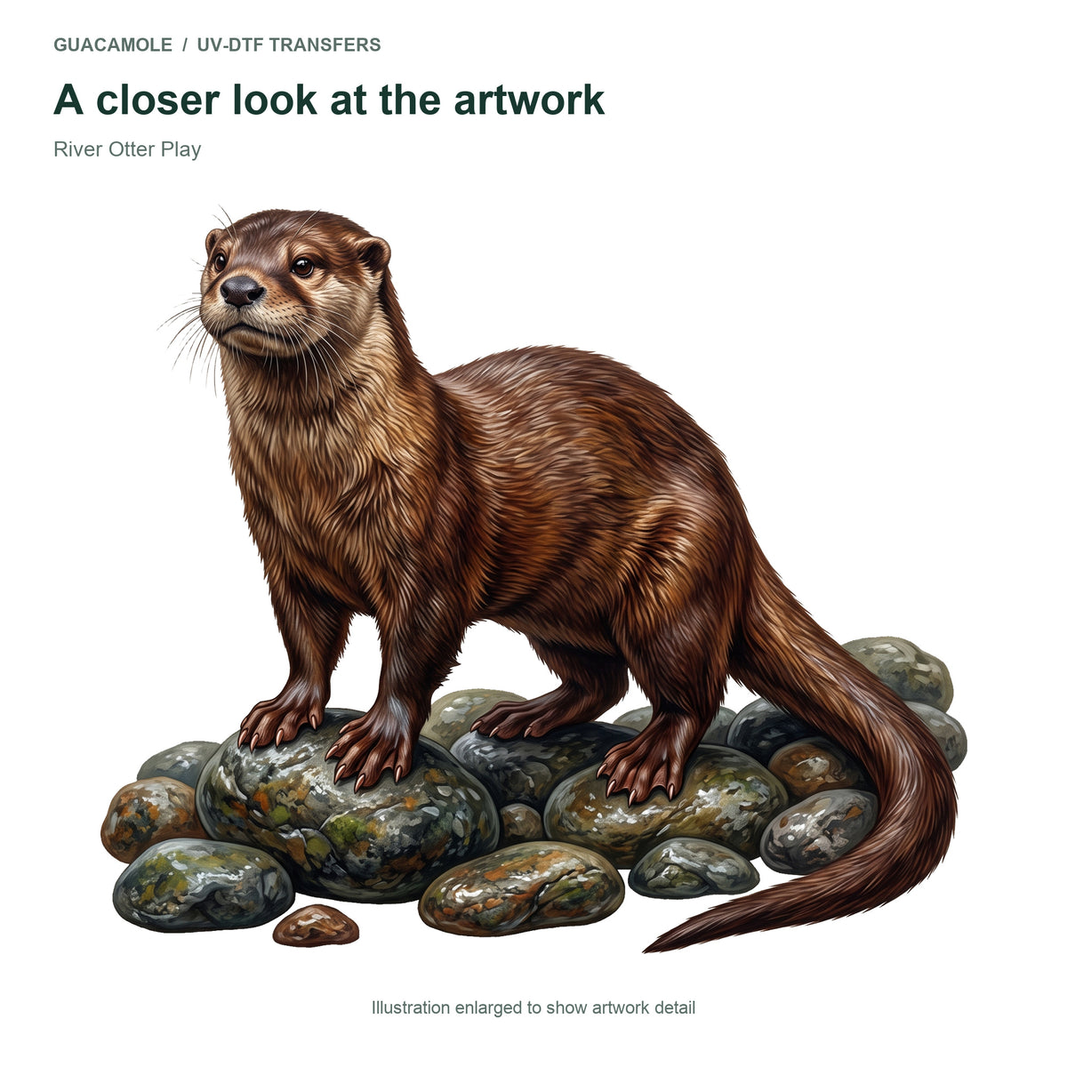 River Otter Play — Artwork detail