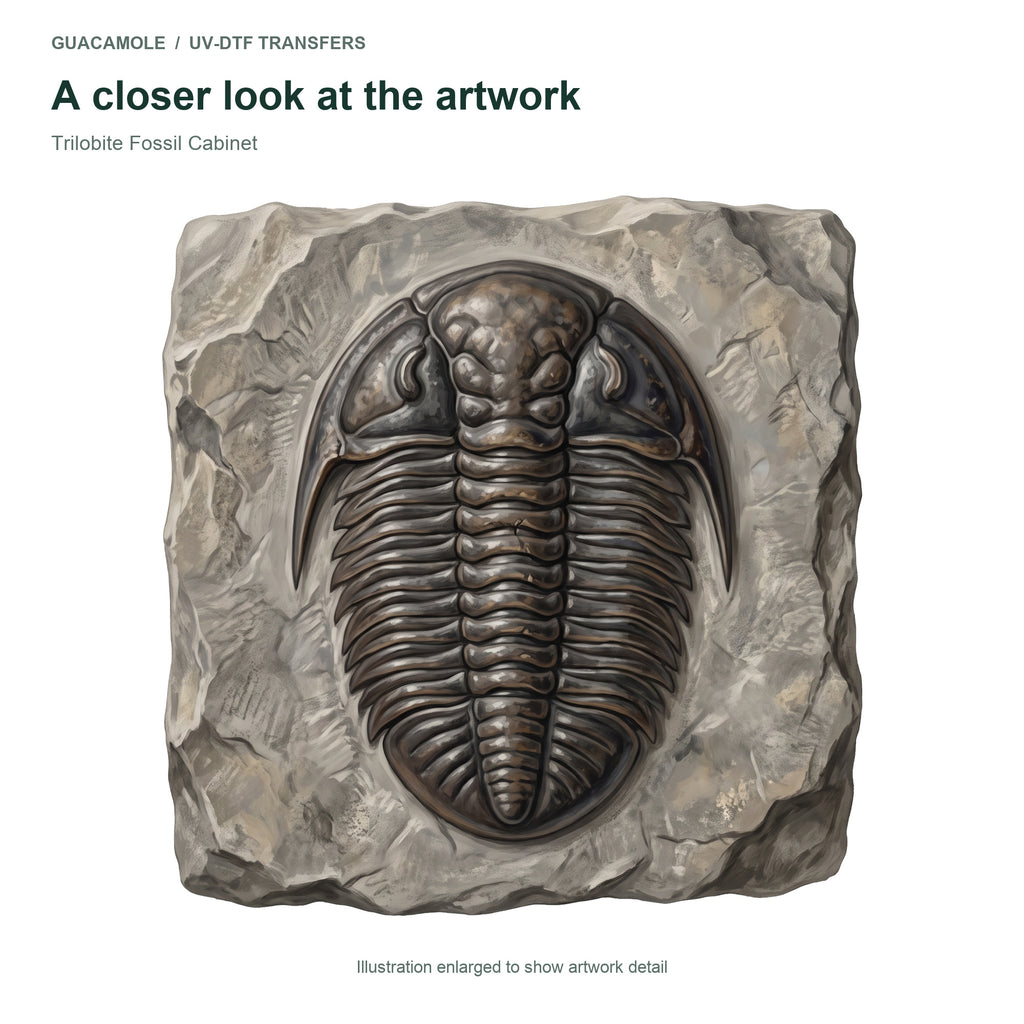 Trilobite Fossil Cabinet — Artwork detail