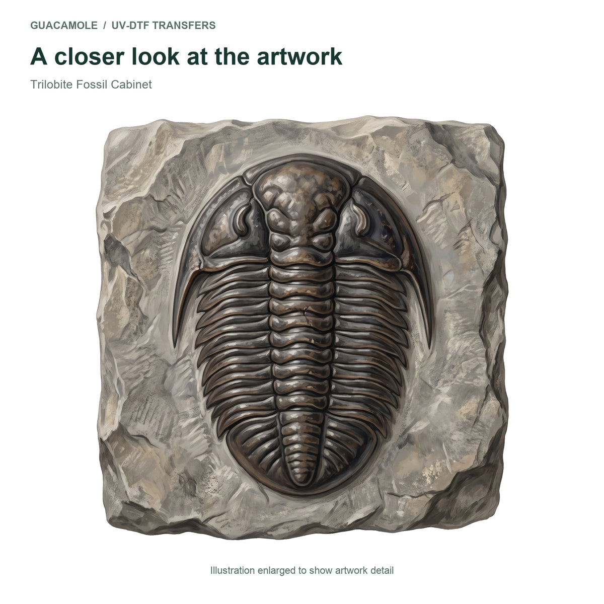 Trilobite Fossil Cabinet — Artwork detail