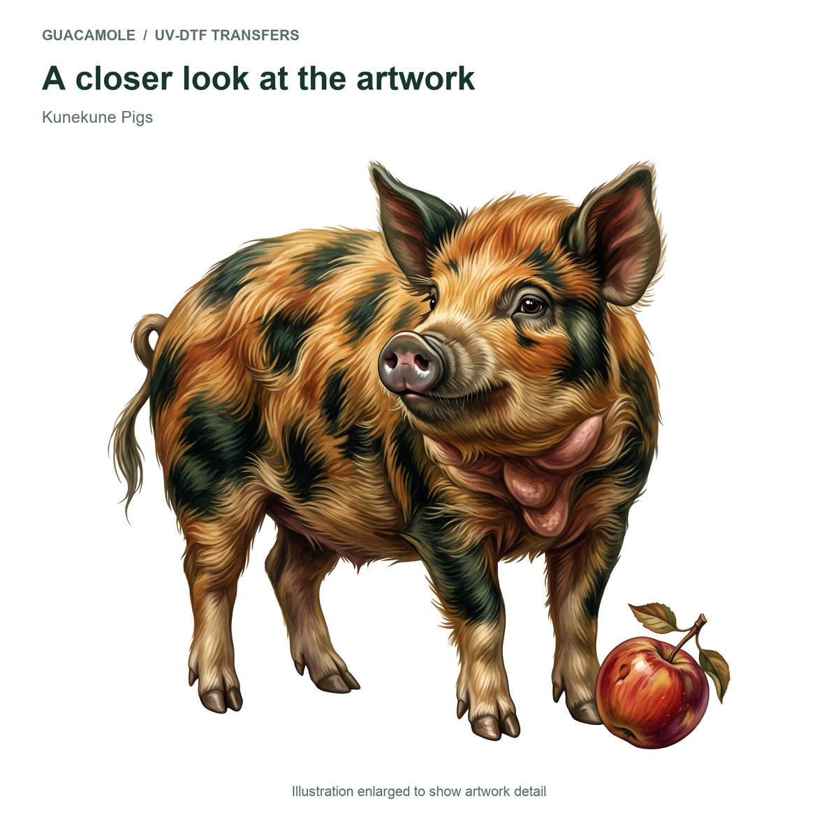 Kunekune Pigs — Artwork detail