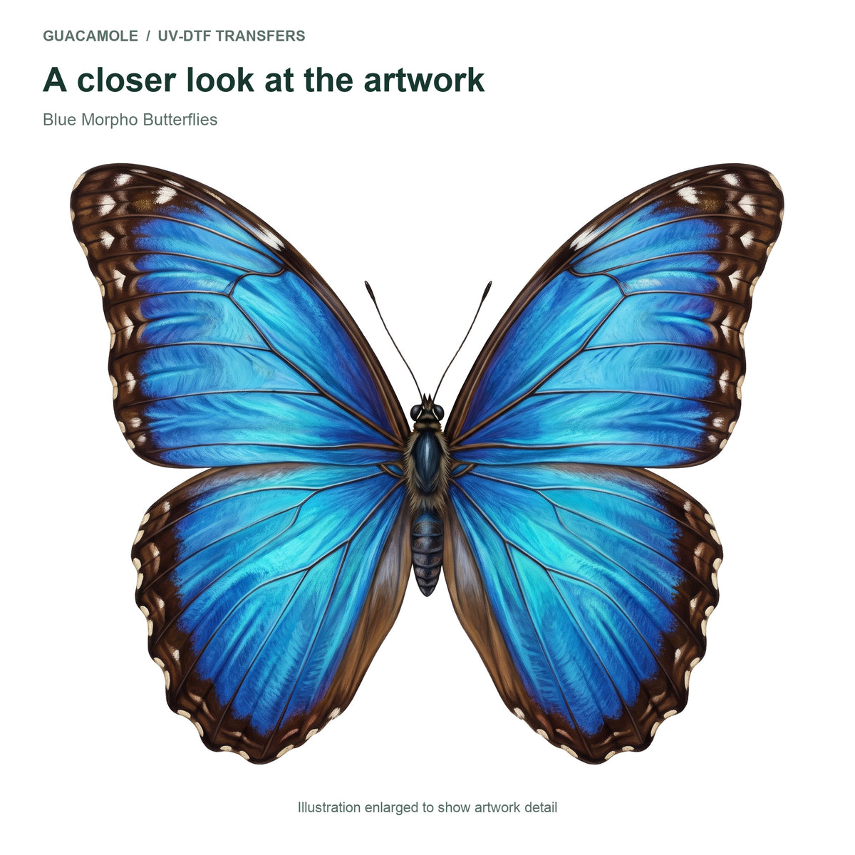 Blue Morpho Butterflies — Artwork detail