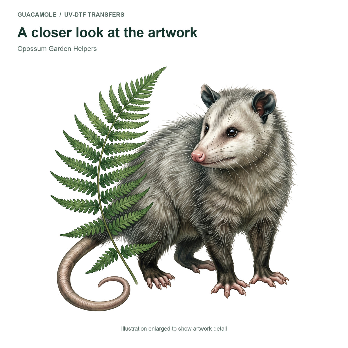 Opossum Garden Helpers — Artwork detail
