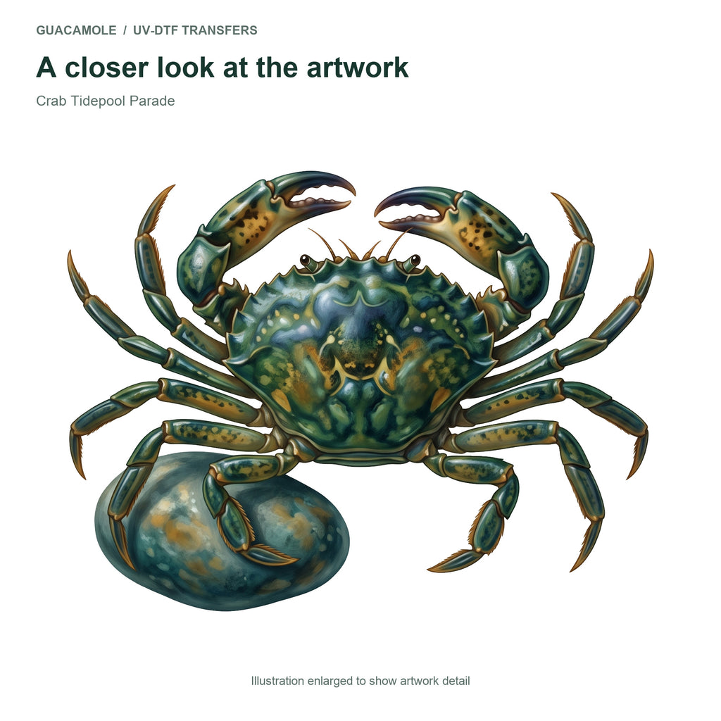 Crab Tidepool Parade — Artwork detail