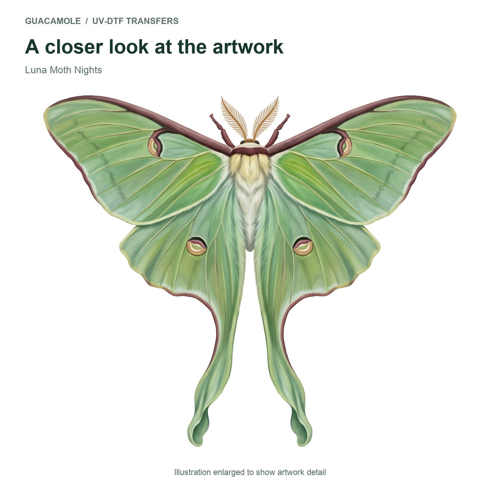 Luna Moth Nights — Artwork detail