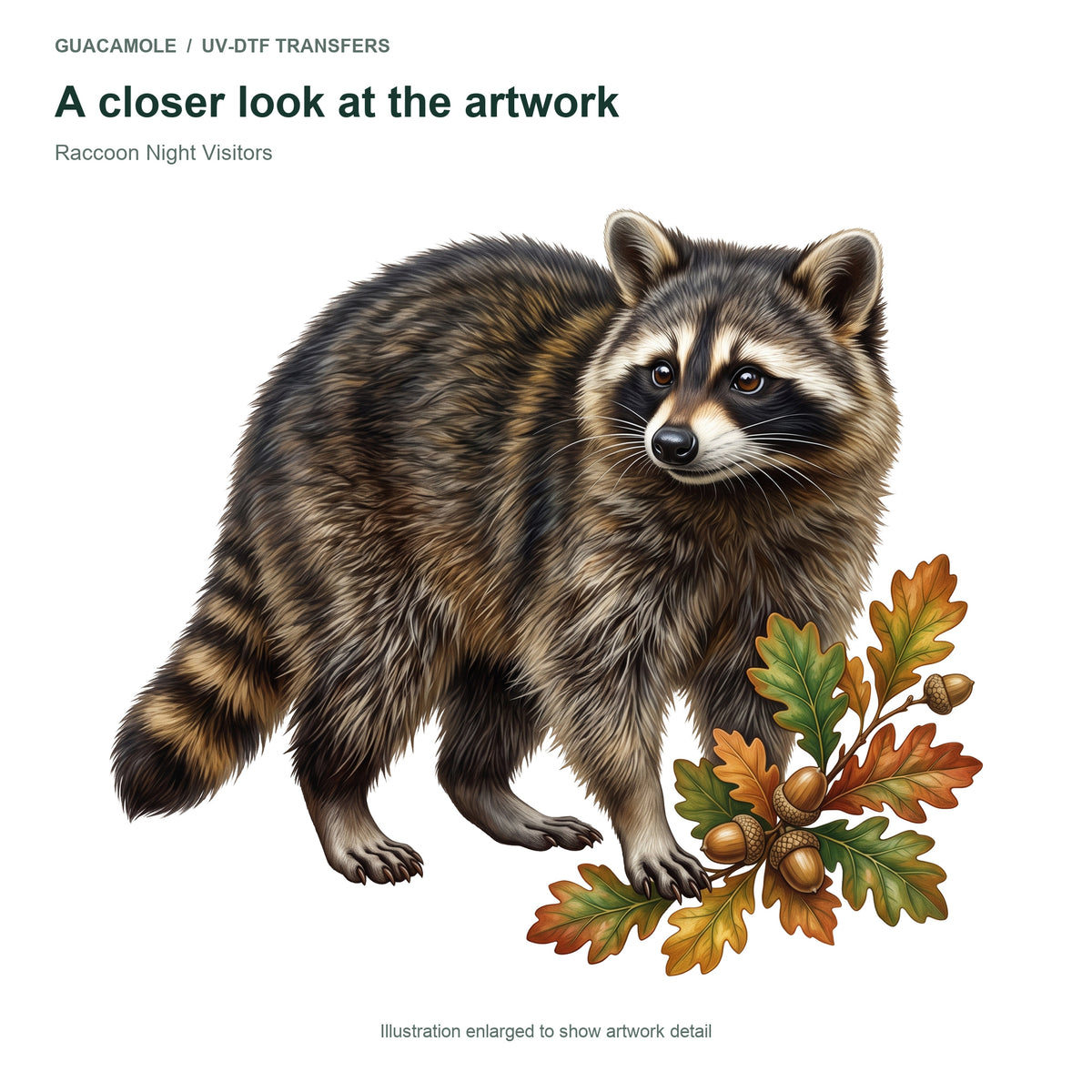 Raccoon Night Visitors — Artwork detail