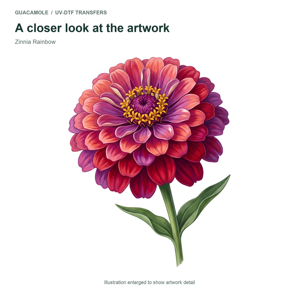 Zinnia Rainbow — Artwork detail