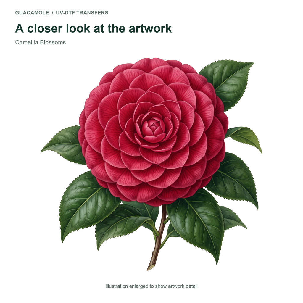 Camellia Blossoms — Artwork detail