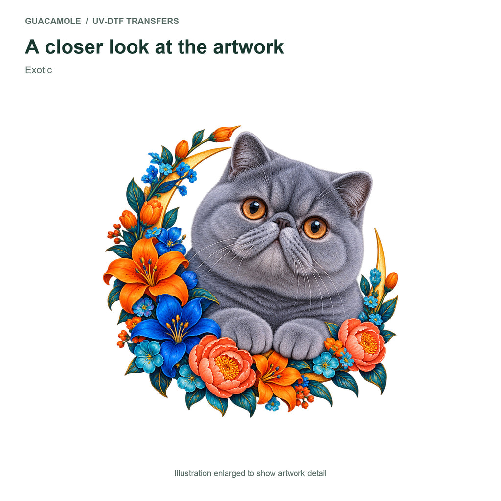 Exotic — Artwork detail