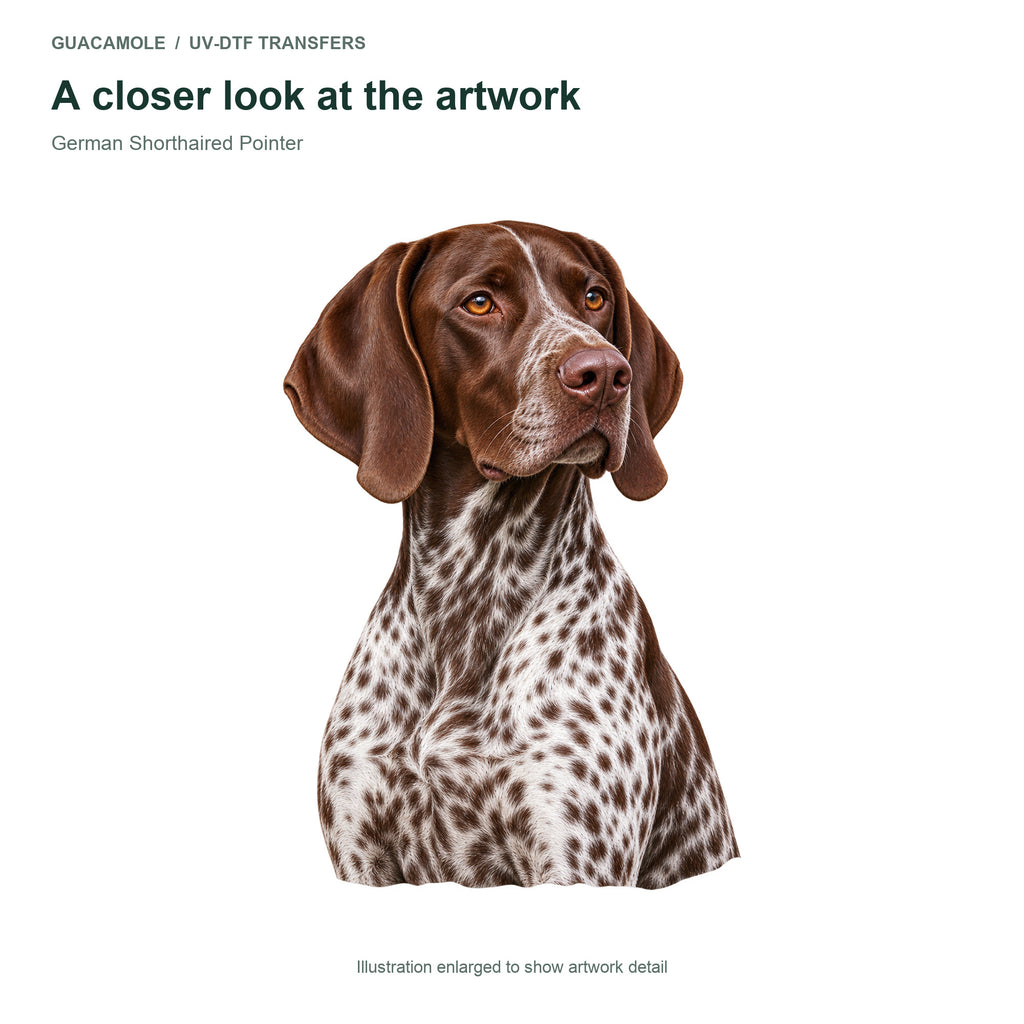 German Shorthaired Pointer — Artwork detail