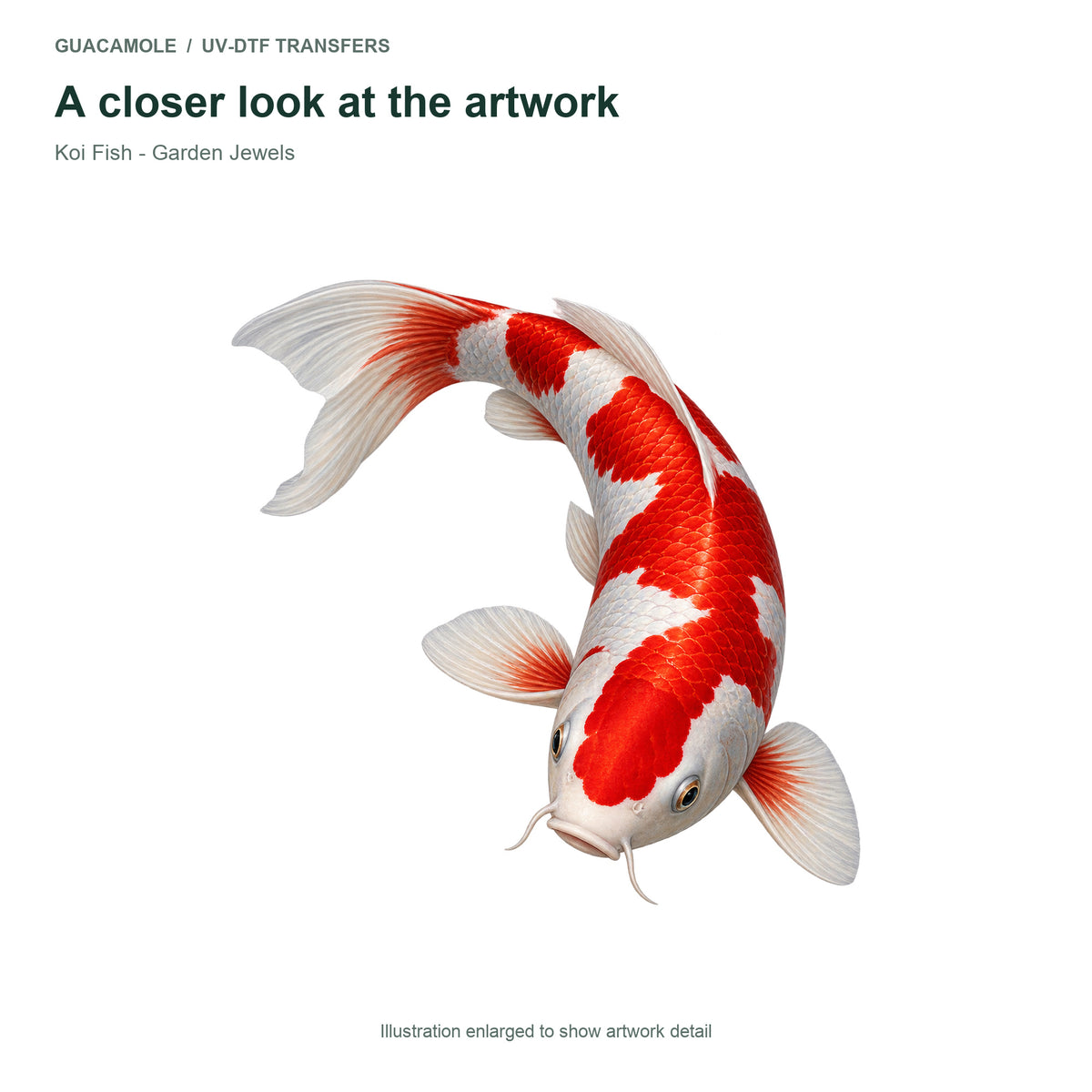 Koi Fish - Garden Jewels — Artwork detail