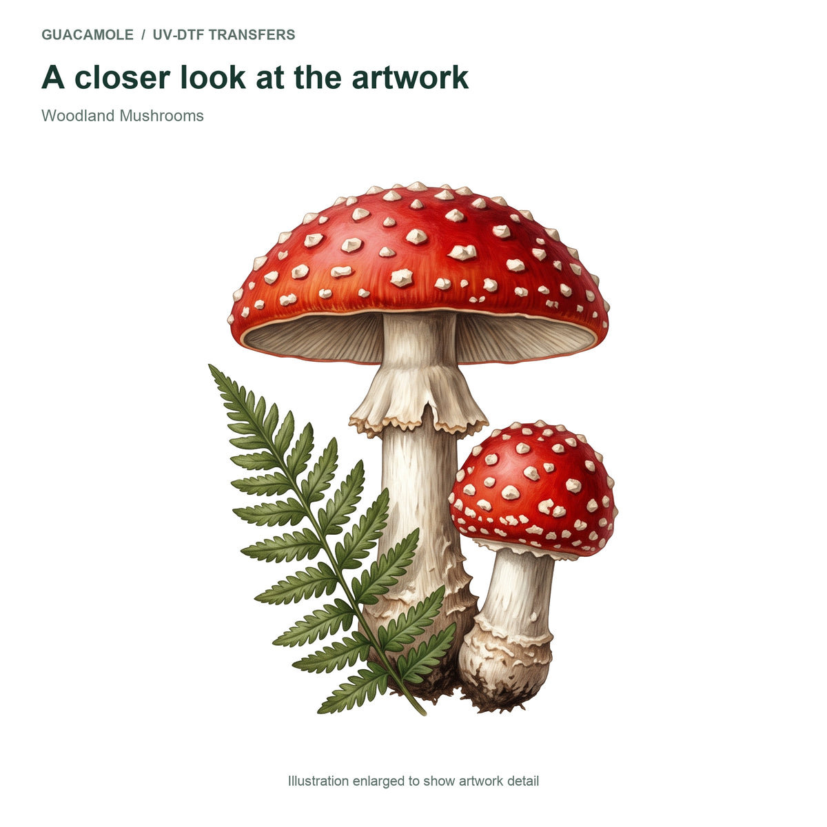 Woodland Mushrooms — Artwork detail